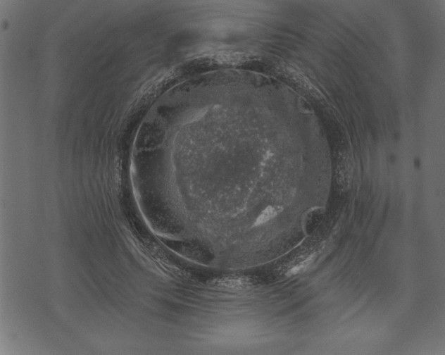 X0000073890639200608180934