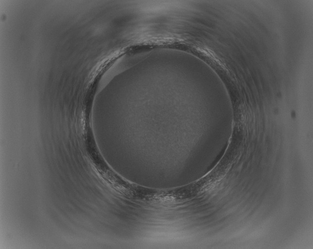 X0000073890640200608180934