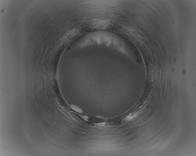 X0000073890641200608180934