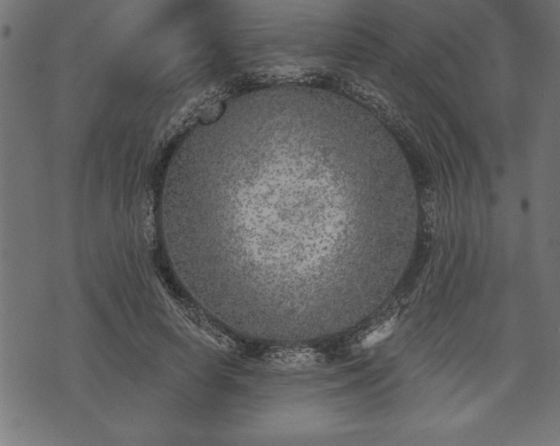 X0000073890642200608180934