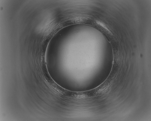 X0000073890645200608180934