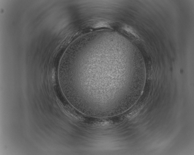 X0000073890646200608180935