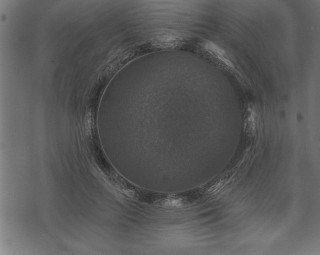 X0000073890647200608180935