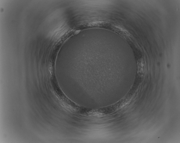 X0000073890648200608180935