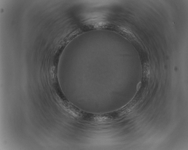 X0000073890650200608180935