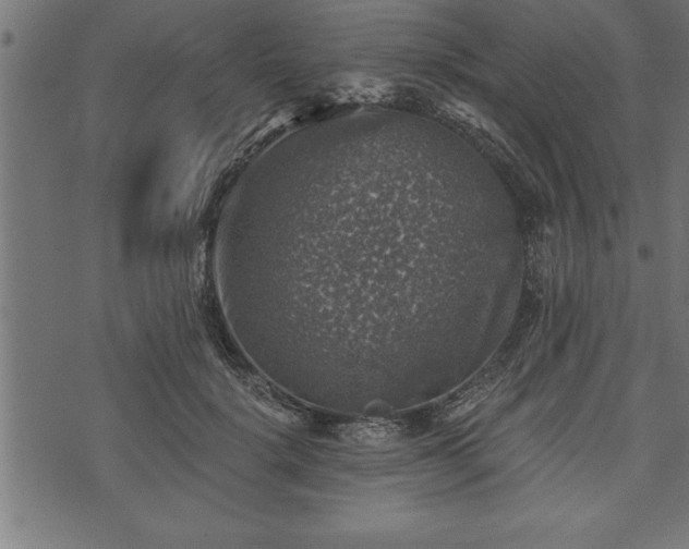 X0000073890652200608180935