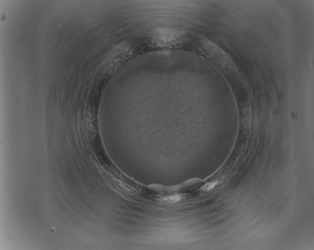 X0000073890653200608180935