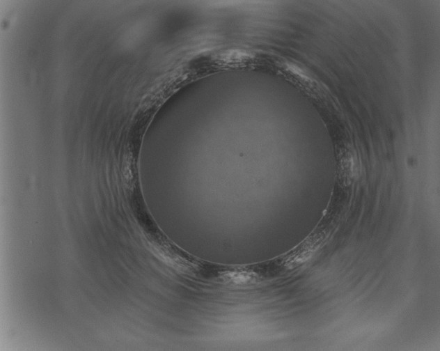 X0000073890654200608180935