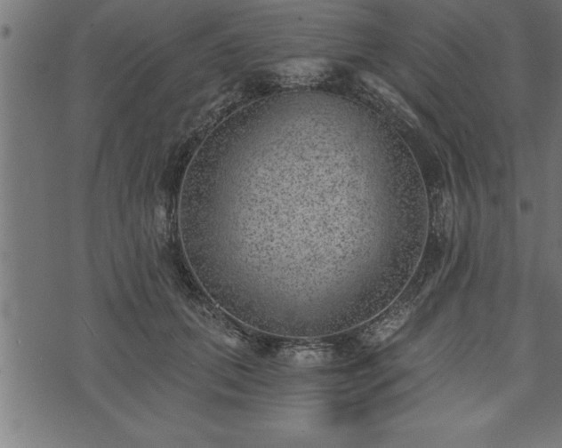 X0000073890655200608180935