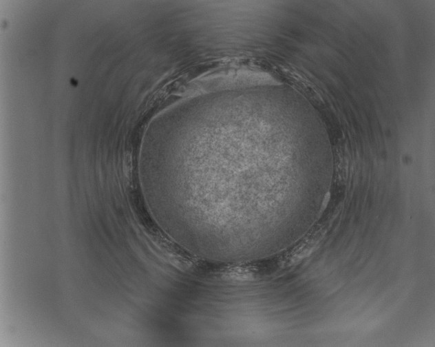 X0000073890656200608180935