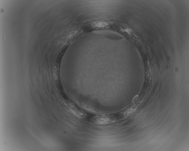 X0000073890658200608180935