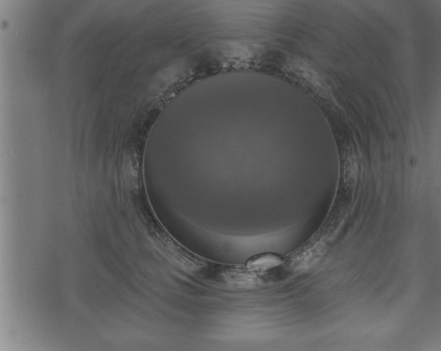 X0000073890661200608180935