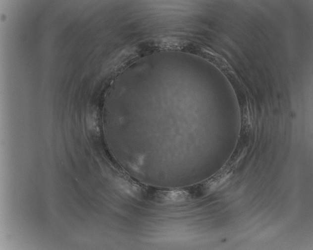 X0000073890663200608180935