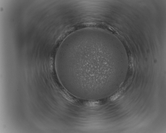 X0000073890664200608180935