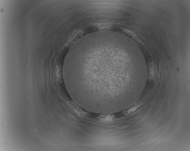 X0000073890667200608180935