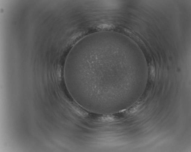 X0000073890668200608180935