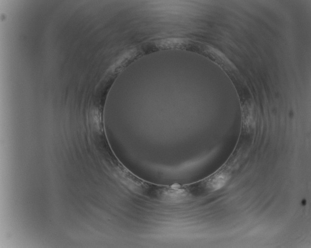 X0000073890669200608180935