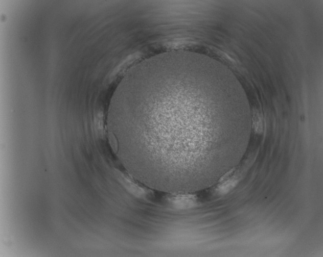 X0000073890670200608180935