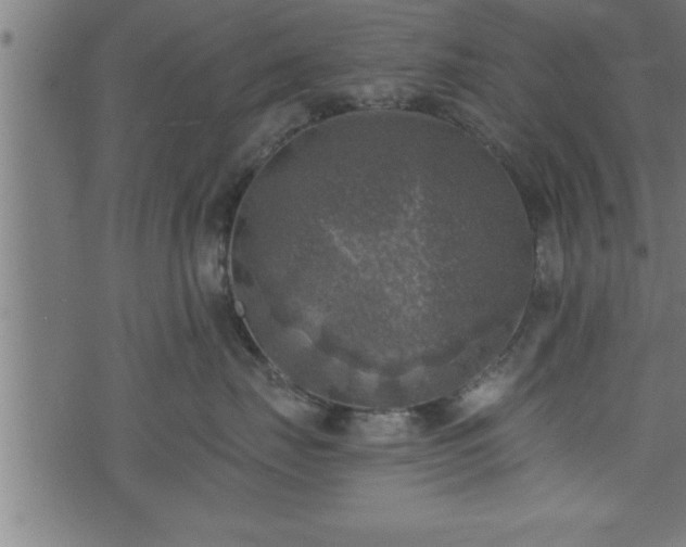 X0000073890671200608180935