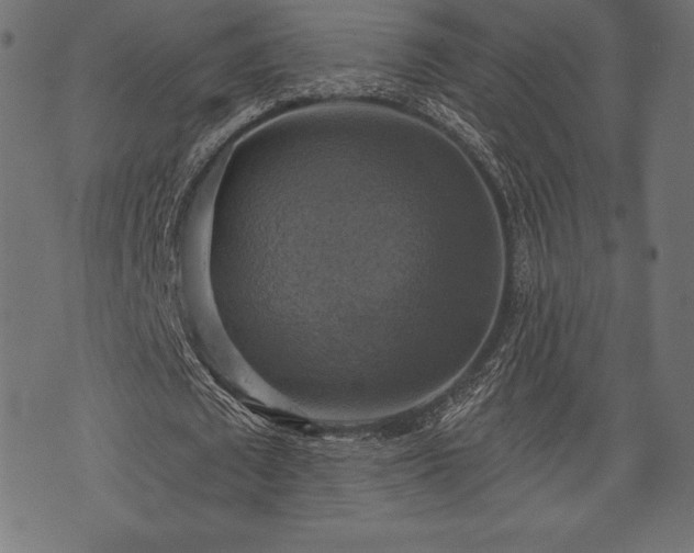 X0000073890673200608180934