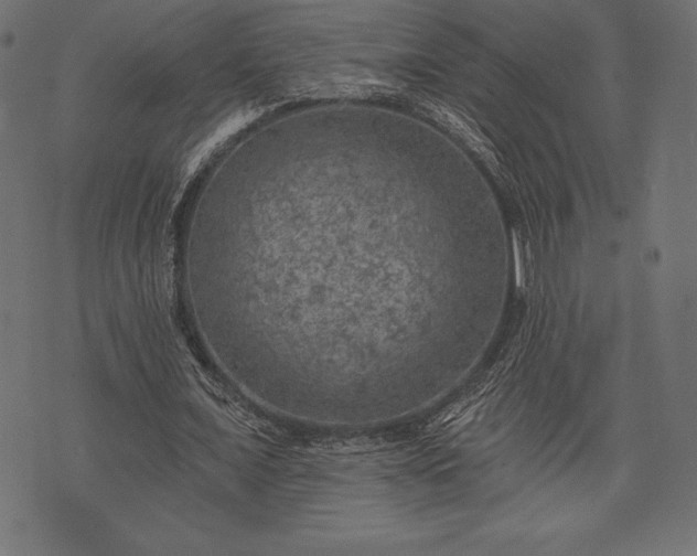 X0000073890675200608180934