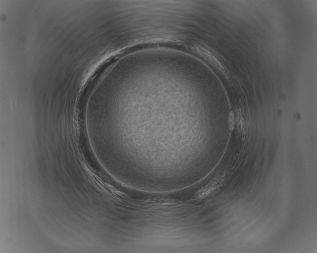 X0000073890676200608180934