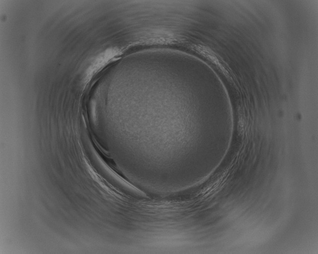 X0000073890677200608180934