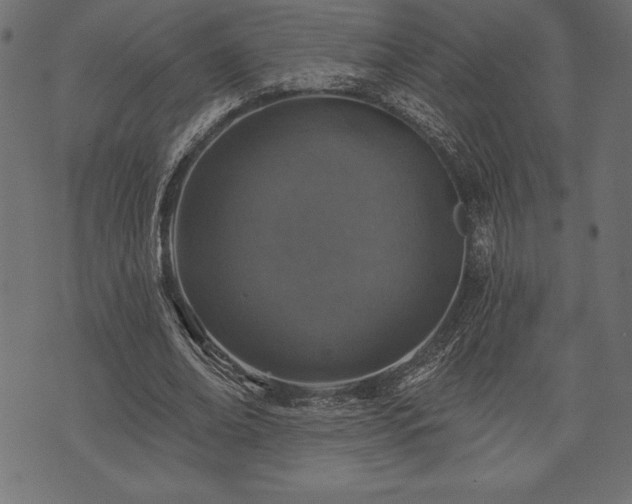 X0000073890678200608180934