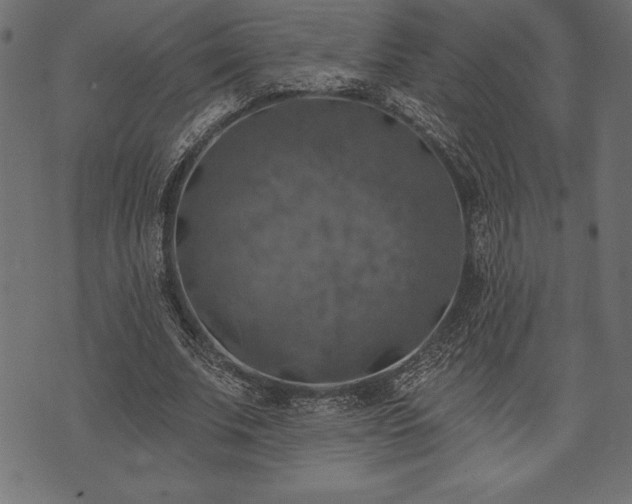 X0000073890679200608180934