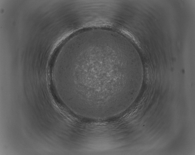 X0000073890680200608180934