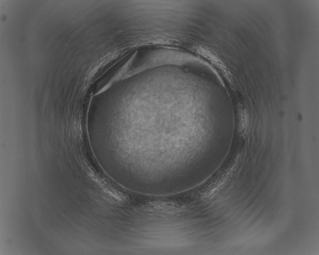 X0000073890681200608180934