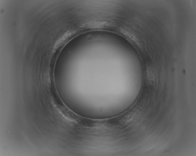 X0000073890682200608180934