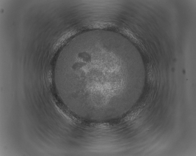 X0000073890683200608180934