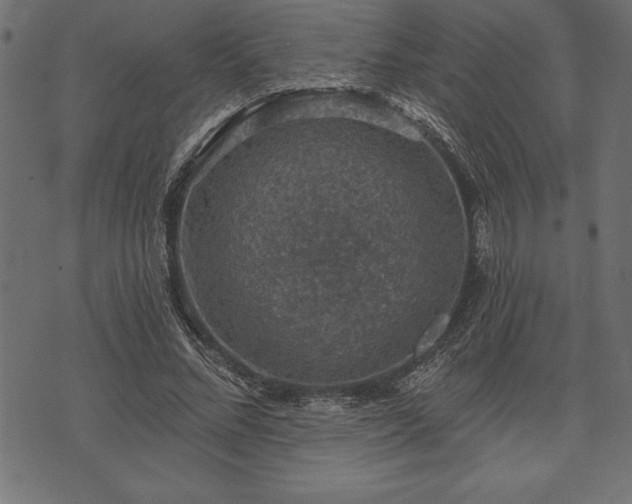 X0000073890684200608180934