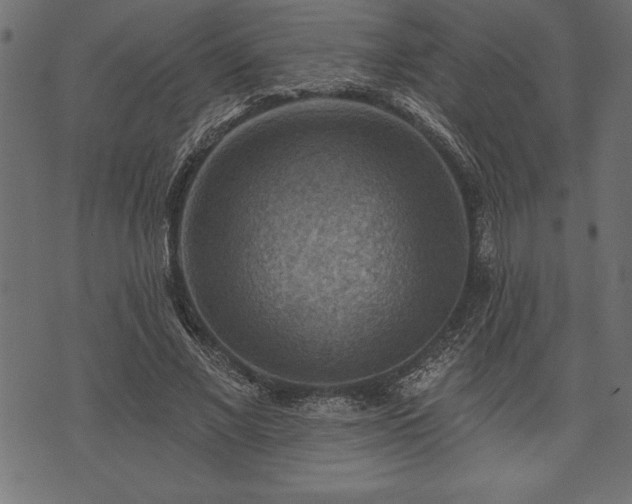 X0000073890685200608180934