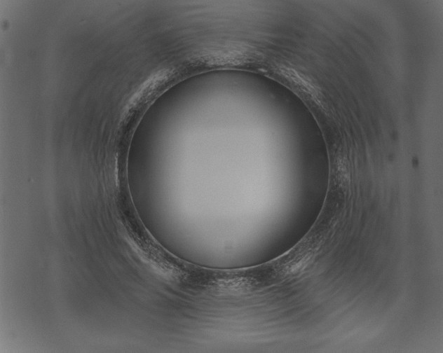 X0000073890686200608180934