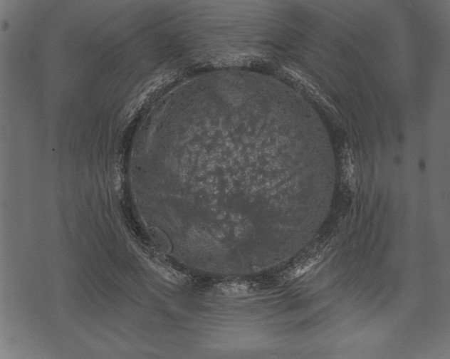 X0000073890687200608180934