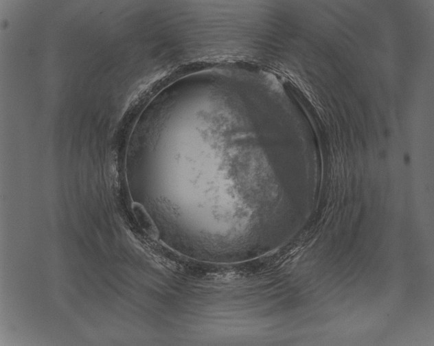 X0000073890688200608180934