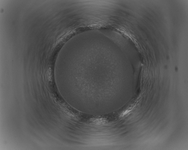 X0000073890689200608180934