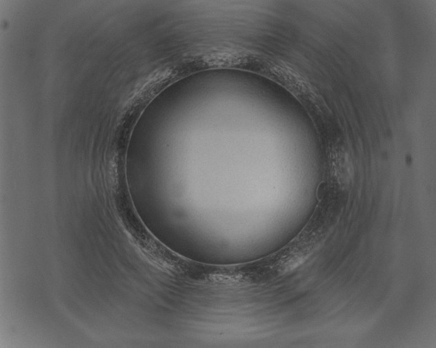 X0000073890690200608180934