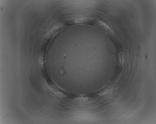 X0000073890691200608180934