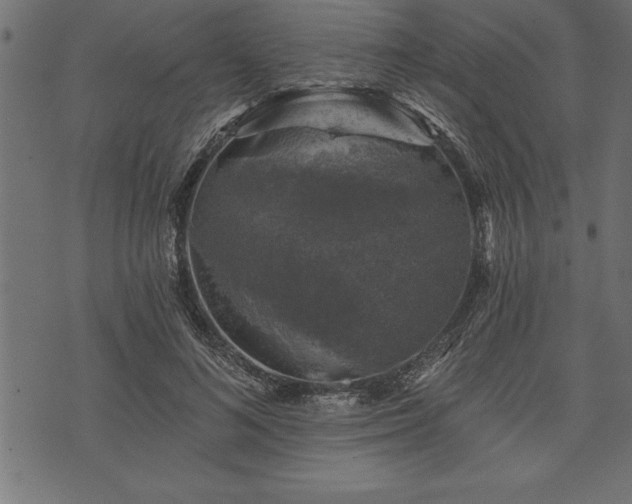 X0000073890692200608180934