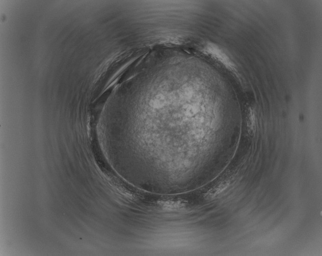 X0000073890693200608180934