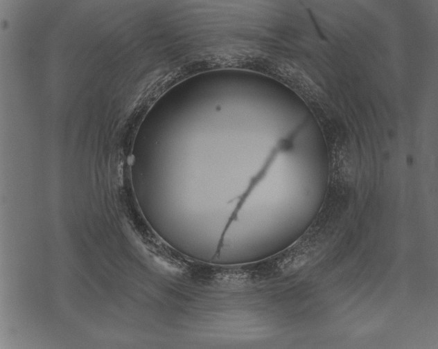 X0000073890694200608180934