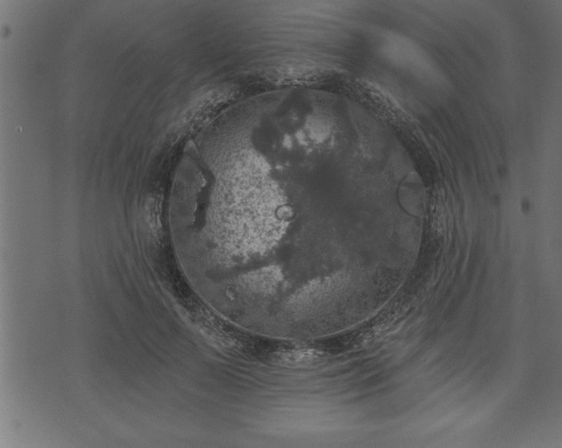 X0000073890695200608180934