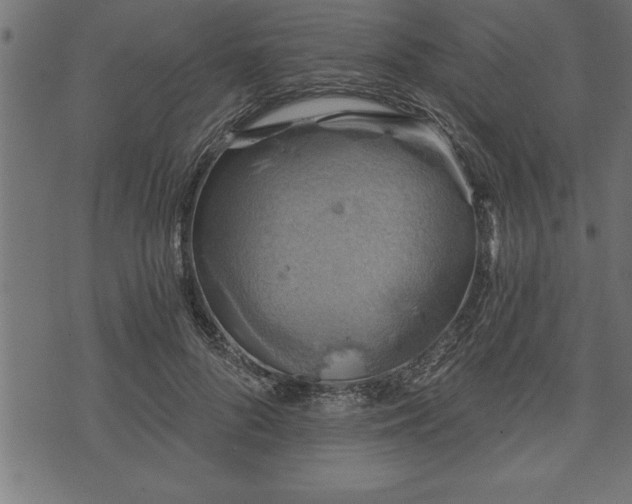 X0000073890696200608180934