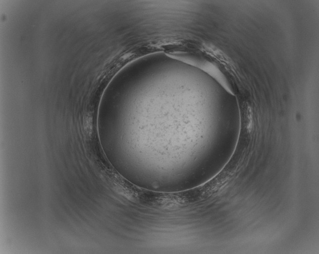 X0000073890697200608180934