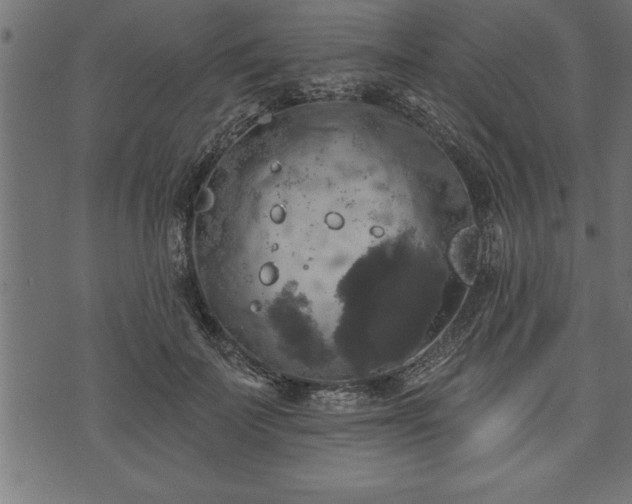 X0000073890699200608180934