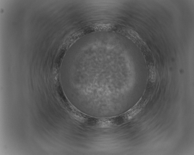 X0000073890701200608180934