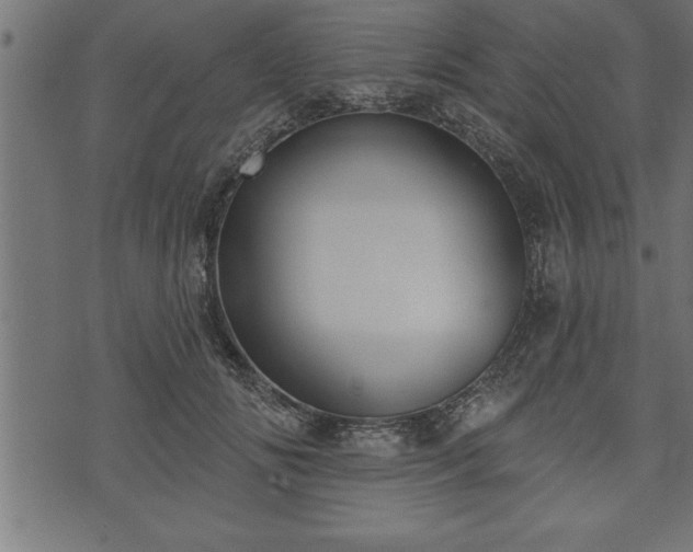 X0000073890702200608180934